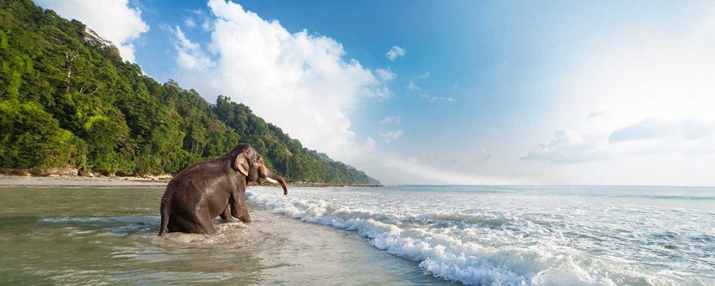 Exploring the beaches